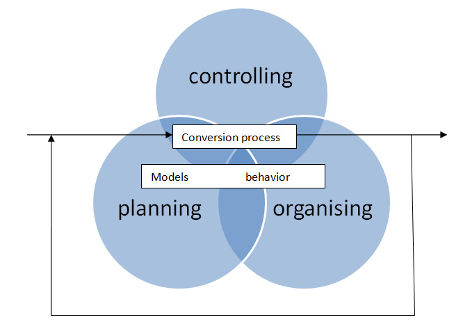 worlds of psychotic people wanderers bricoleurs and strategists theory and practice in medical