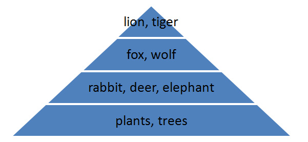 Forest Ecosystem