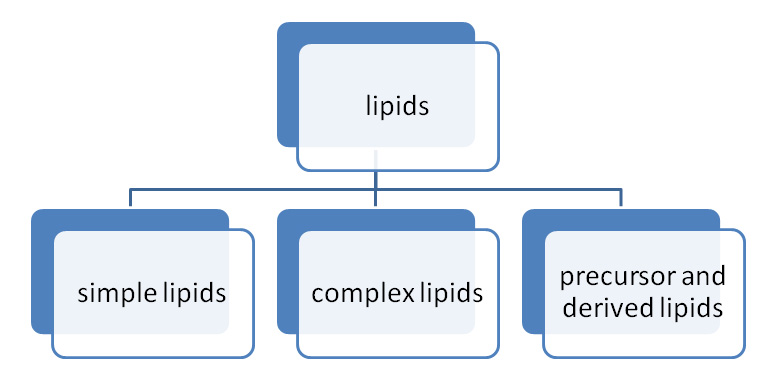 classification of lipids
