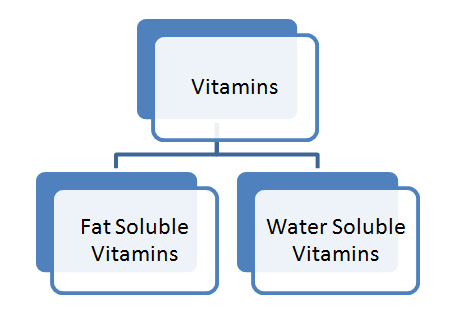 Vitamins And Minerals Chart Ppt