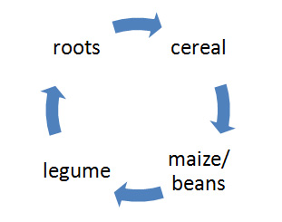 A simple Rotation which includes a legume 